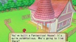 Screenshot for Harvest Moon 3D: A New Beginning - click to enlarge