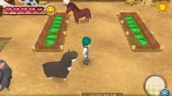 Screenshot for Harvest Moon 3D: A New Beginning - click to enlarge