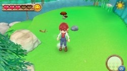 Screenshot for Harvest Moon 3D: A New Beginning - click to enlarge