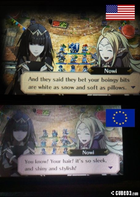 Image for Differences in Fire Emblem: Awakening US and Euro Script Point out Hair over Breasts