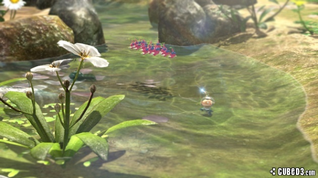 Image for Take Flight With New Pikmin 3 Wii U Details - Introducing Winged Pikmin