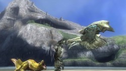 Screenshot for Monster Hunter 3 Ultimate (Hands-On) - click to enlarge