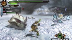 Screenshot for Monster Hunter 3 Ultimate - click to enlarge