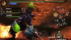 Screenshot for Monster Hunter 3 Ultimate - click to enlarge