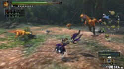 Screenshot for Monster Hunter 3 Ultimate - click to enlarge