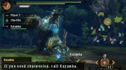 Screenshot for Monster Hunter 3 Ultimate - click to enlarge