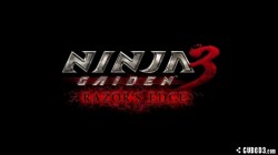 Screenshot for Ninja Gaiden 3: Razor