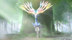 Screenshot for Pokémon X and Y - click to enlarge