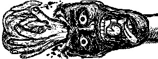 Image for Miiverse Monday 03/06 Gallery: Zelda, Luigi, Metroid and more!