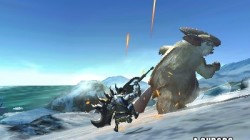 Screenshot for Monster Hunter 4 - click to enlarge