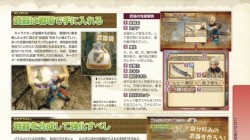 Screenshot for Hyrule Warriors - click to enlarge