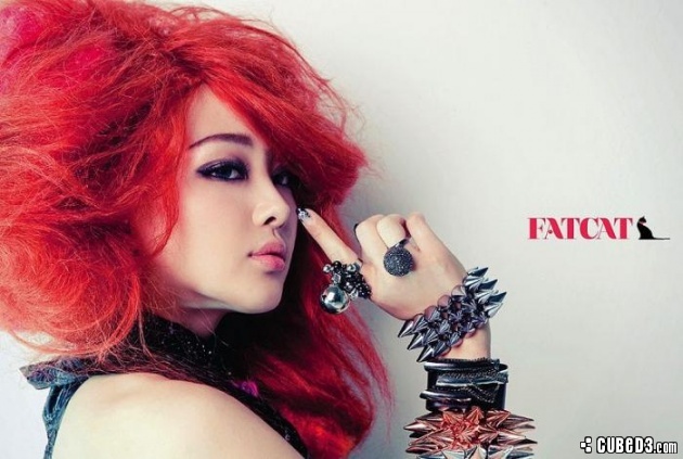 Image for Feature | MusiCube: K-Pop Korner Interviews Fat Cat