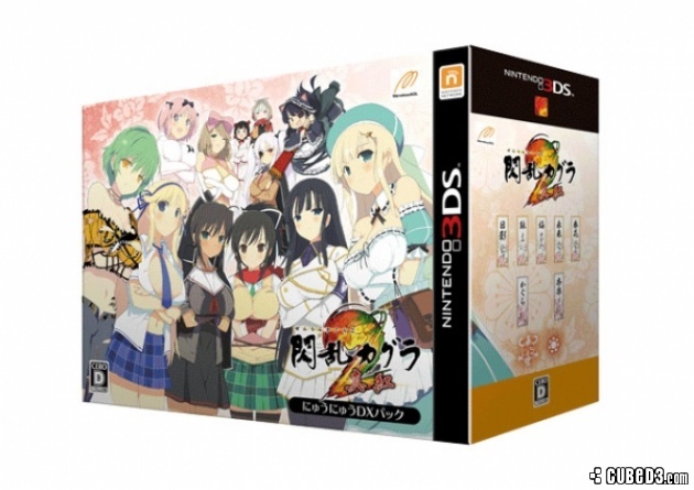 Image for A Look at the Senran Kagura 2 Special Edition Bundle