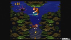 Screenshot for Donkey Kong Country - click to enlarge