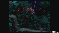 Screenshot for Donkey Kong Country - click to enlarge