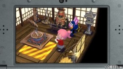 Screenshot for Animal Crossing: Happy Home Designer - click to enlarge