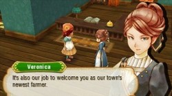 Screenshot for Story of Seasons - click to enlarge