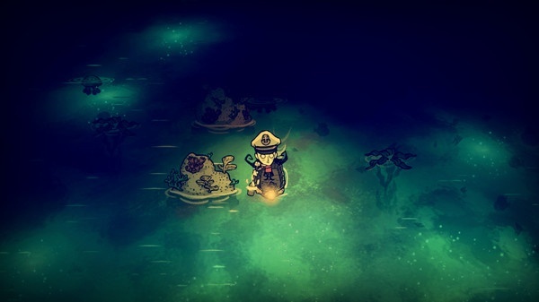 Screenshot for Don’t Starve: Shipwrecked on PC