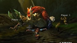 Screenshot for Monster Hunter 4 Ultimate - click to enlarge