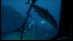 Screenshot for Iron Fish - click to enlarge