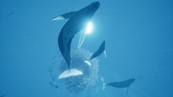 Screenshot for Abzu - click to enlarge