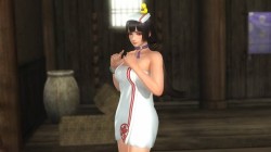 Screenshot for Dead or Alive 5 Last Round - click to enlarge