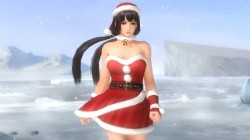 Screenshot for Dead or Alive 5 Last Round - click to enlarge