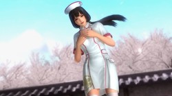 Screenshot for Dead or Alive 5 Last Round - click to enlarge