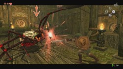 Screenshot for The Legend of Zelda: Twilight Princess - click to enlarge