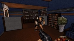 Screenshot for Duke Nukem 3D: 20th Anniversary World Tour - click to enlarge