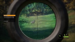 Screenshot for theHunter: Call of the Wild - click to enlarge