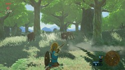 Screenshot for The Legend of Zelda: Breath of the Wild - click to enlarge