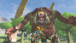 Screenshot for The Legend of Zelda: Breath of the Wild - click to enlarge