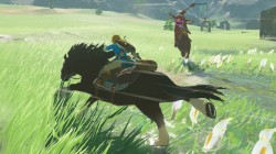 Screenshot for The Legend of Zelda: Breath of the Wild - click to enlarge