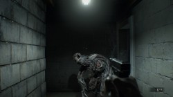 Screenshot for Resident Evil 7: Biohazard - click to enlarge