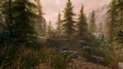 Screenshot for The Elder Scrolls V: Skyrim - click to enlarge