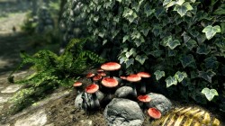 Screenshot for The Elder Scrolls V: Skyrim - click to enlarge