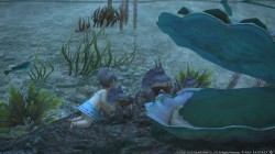 Screenshot for Final Fantasy XIV Online - click to enlarge