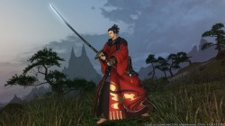 Screenshot for Final Fantasy XIV Online - click to enlarge