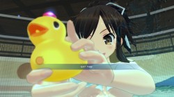 Screenshot for Senran Kagura: Peach Beach Splash - click to enlarge