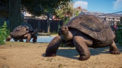 Screenshot for Planet Zoo - click to enlarge