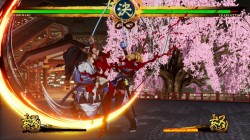 Screenshot for Samurai Shodown - click to enlarge