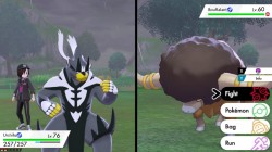 Screenshot for Pokémon Sword / Shield: The Isle of Armor - click to enlarge