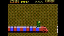 Screenshot for Battletoads - click to enlarge