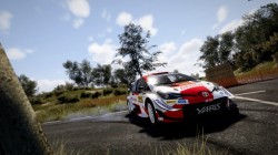 Screenshot for WRC 10 FIA World Rally Championship - click to enlarge