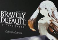 Get a Detailed Look at the Bravely Default Collector