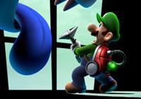 More Details on the Luigi