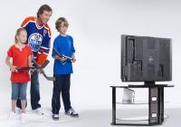 EA Shafts Ice Hockey onto Wii, New Periperhal on Nintendo gaming news, videos and discussion