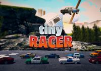 Review for Tiny Racer on Nintendo Switch
