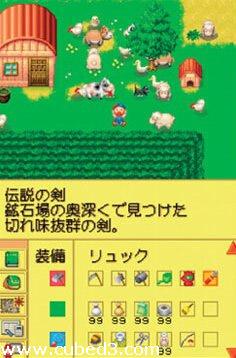 Screenshot for Harvest Moon: Colobocle Station on Nintendo DS